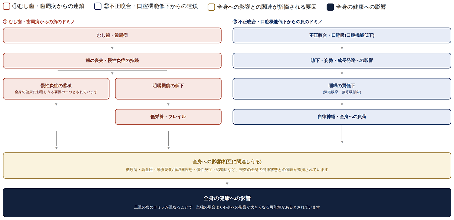 二重ドミノ理論のイメージ図